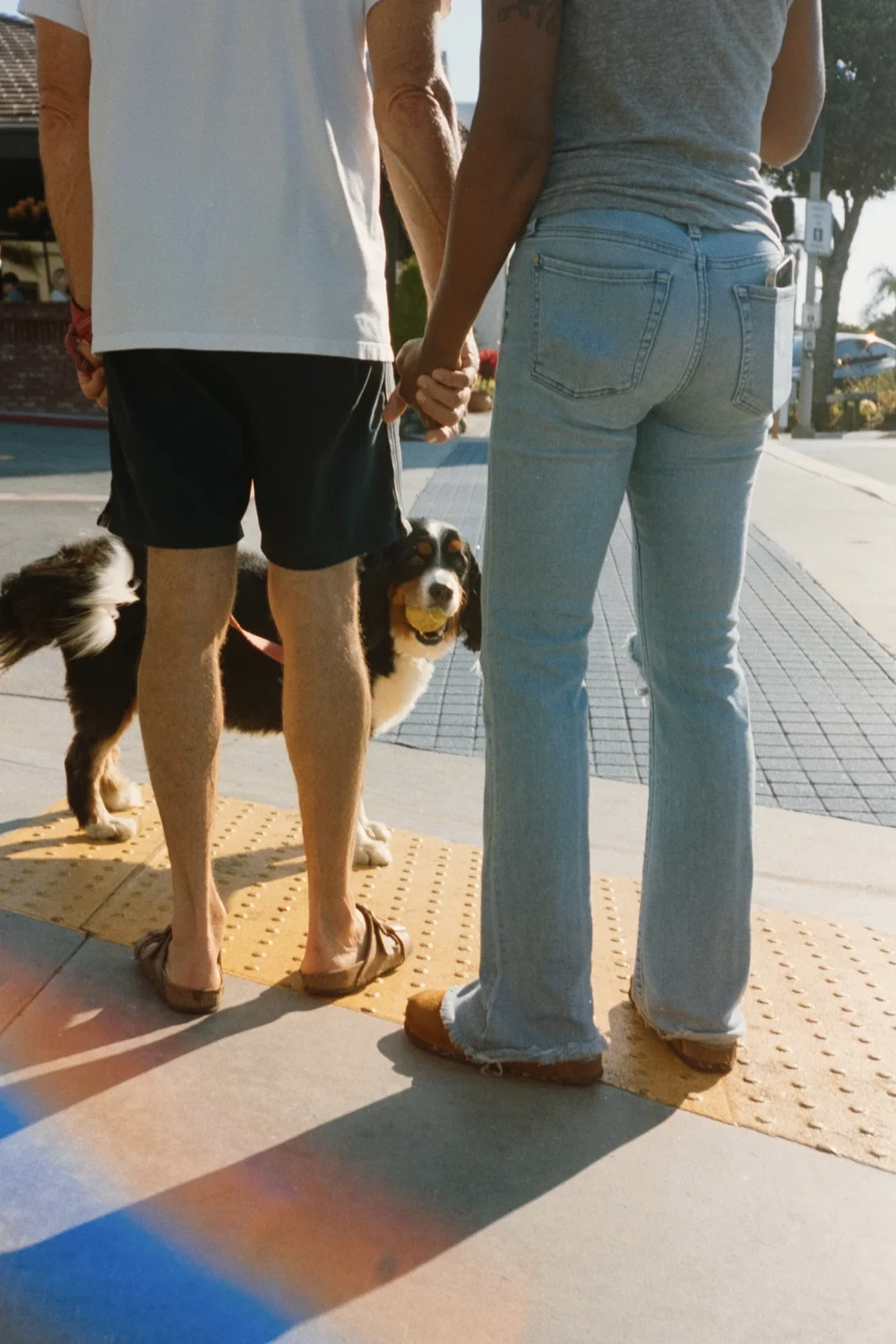 A couple and their dog at a crosswalk